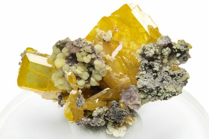 Orange Wulfenite and Botryoidal Mimetite - La Morita Mine, Mexico #225402